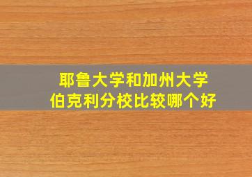 耶鲁大学和加州大学伯克利分校比较哪个好