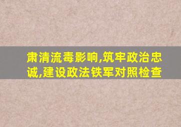 肃清流毒影响,筑牢政治忠诚,建设政法铁军对照检查