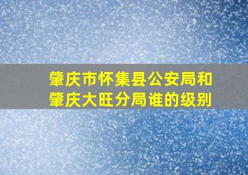 肇庆市怀集县公安局和肇庆大旺分局谁的级别