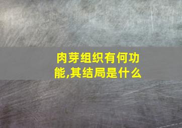 肉芽组织有何功能,其结局是什么