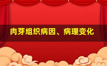 肉芽组织病因、病理变化