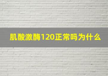 肌酸激酶120正常吗为什么