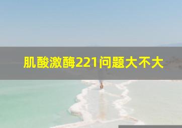 肌酸激酶221问题大不大