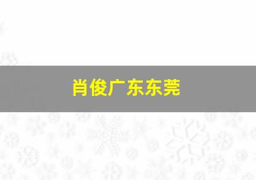 肖俊广东东莞