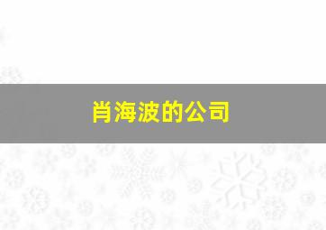 肖海波的公司