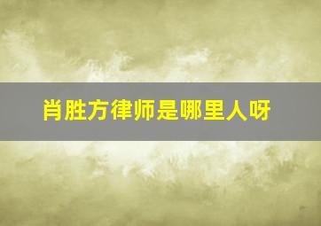 肖胜方律师是哪里人呀