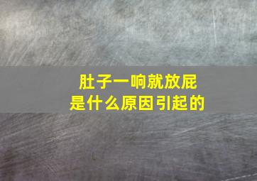 肚子一响就放屁是什么原因引起的