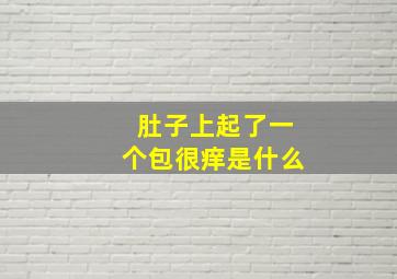 肚子上起了一个包很痒是什么