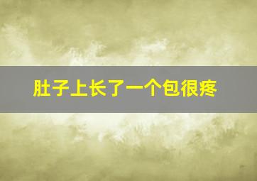 肚子上长了一个包很疼