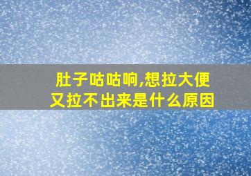 肚子咕咕响,想拉大便又拉不出来是什么原因