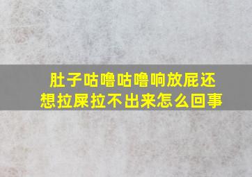 肚子咕噜咕噜响放屁还想拉屎拉不出来怎么回事