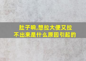 肚子响,想拉大便又拉不出来是什么原因引起的