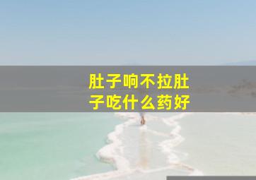 肚子响不拉肚子吃什么药好