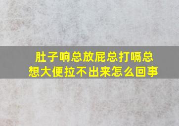 肚子响总放屁总打嗝总想大便拉不出来怎么回事