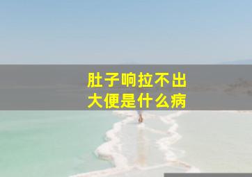 肚子响拉不出大便是什么病