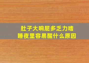 肚子大响屁多乏力嗜睡夜里容易醒什么原因