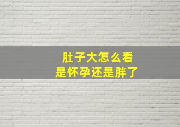 肚子大怎么看是怀孕还是胖了