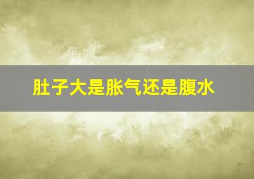 肚子大是胀气还是腹水