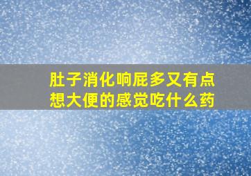 肚子消化响屁多又有点想大便的感觉吃什么药