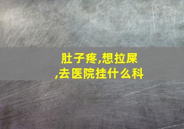 肚子疼,想拉屎,去医院挂什么科