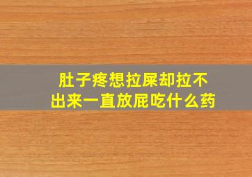 肚子疼想拉屎却拉不出来一直放屁吃什么药