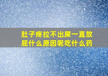 肚子疼拉不出屎一直放屁什么原因呢吃什么药