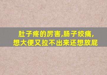 肚子疼的厉害,肠子绞痛,想大便又拉不出来还想放屁