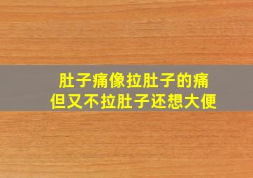 肚子痛像拉肚子的痛但又不拉肚子还想大便