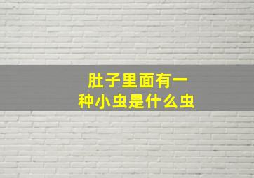 肚子里面有一种小虫是什么虫