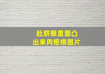 肚脐眼里面凸出来肉疙瘩图片