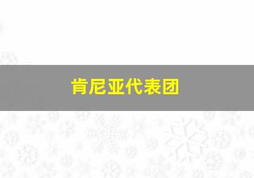 肯尼亚代表团