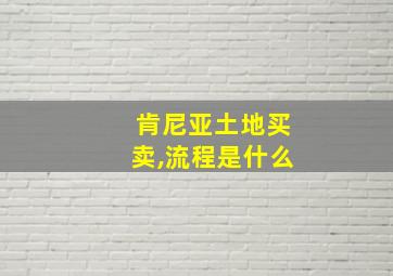 肯尼亚土地买卖,流程是什么