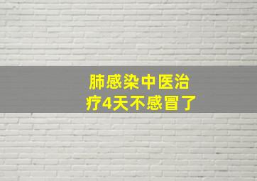 肺感染中医治疗4天不感冒了