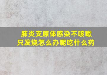 肺炎支原体感染不咳嗽只发烧怎么办呢吃什么药