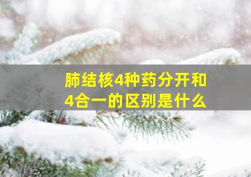 肺结核4种药分开和4合一的区别是什么