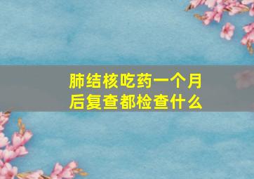 肺结核吃药一个月后复查都检查什么