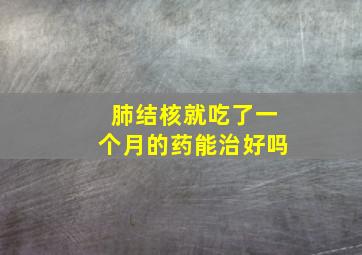 肺结核就吃了一个月的药能治好吗