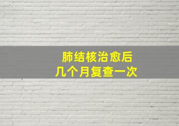 肺结核治愈后几个月复查一次