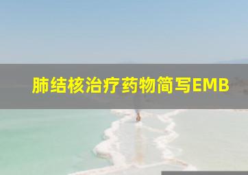 肺结核治疗药物简写EMB