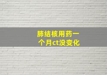 肺结核用药一个月ct没变化