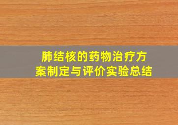 肺结核的药物治疗方案制定与评价实验总结