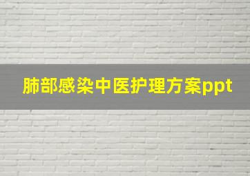 肺部感染中医护理方案ppt