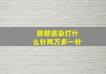 肺部感染打什么针两万多一针