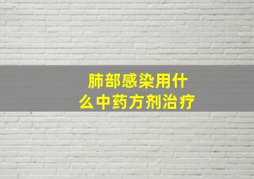 肺部感染用什么中药方剂治疗