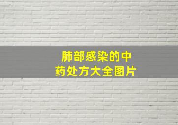 肺部感染的中药处方大全图片