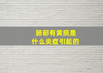 肺部有黄痰是什么炎症引起的