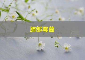 肺部霉菌