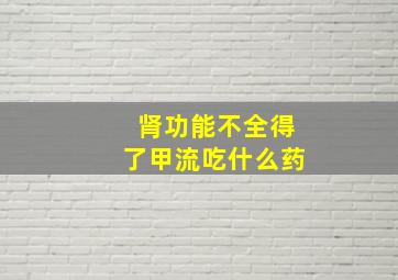 肾功能不全得了甲流吃什么药