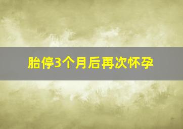 胎停3个月后再次怀孕