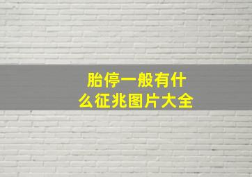 胎停一般有什么征兆图片大全